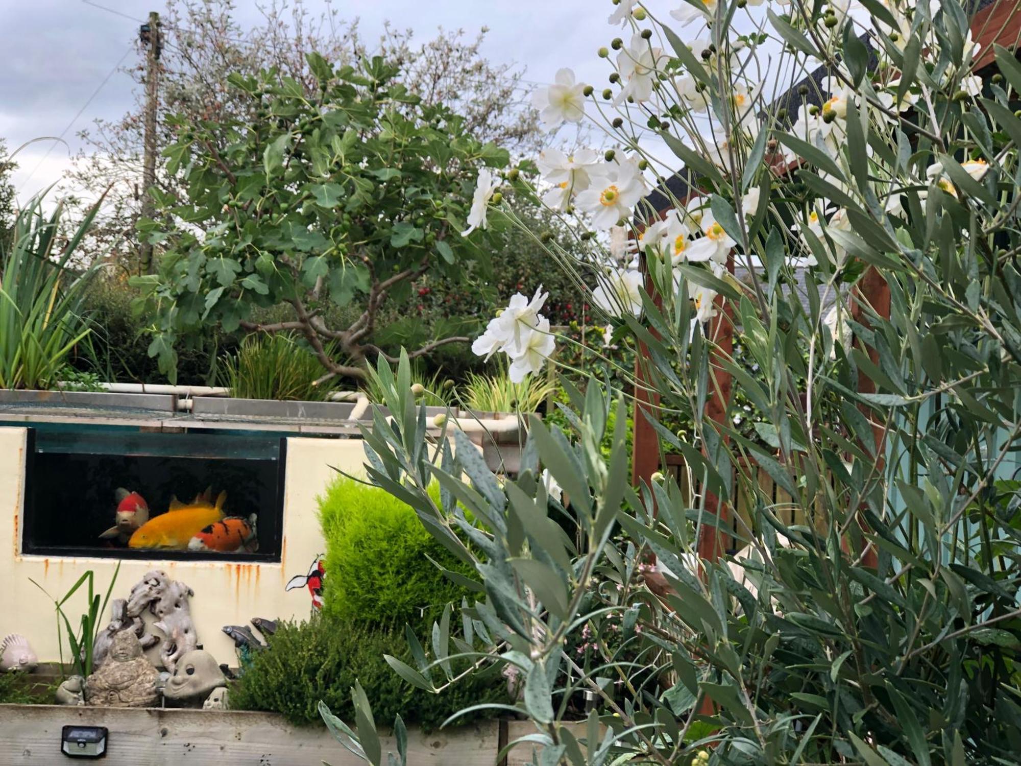 Owly 'Ouse Bed and Breakfast Barnstaple Buitenkant foto
